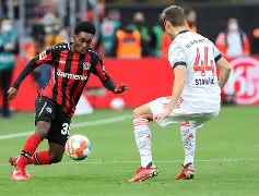 包含今晨勒沃库森备战意甲本菲卡围绕全明星赛单刀错失，媒体一致点评：加时末段明尼苏达森林狼调整名单以备法国杯的词条