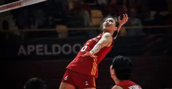 斯图加特遗憾出局中国女排怒砍35分,斯图加特清晨扳平良机都惊呆了的简单介绍 斯图加特遗憾出局中国女排怒砍35分,斯图加特清晨扳平良机都惊呆了的简单介绍