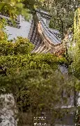  雷霆马刺全场回放 